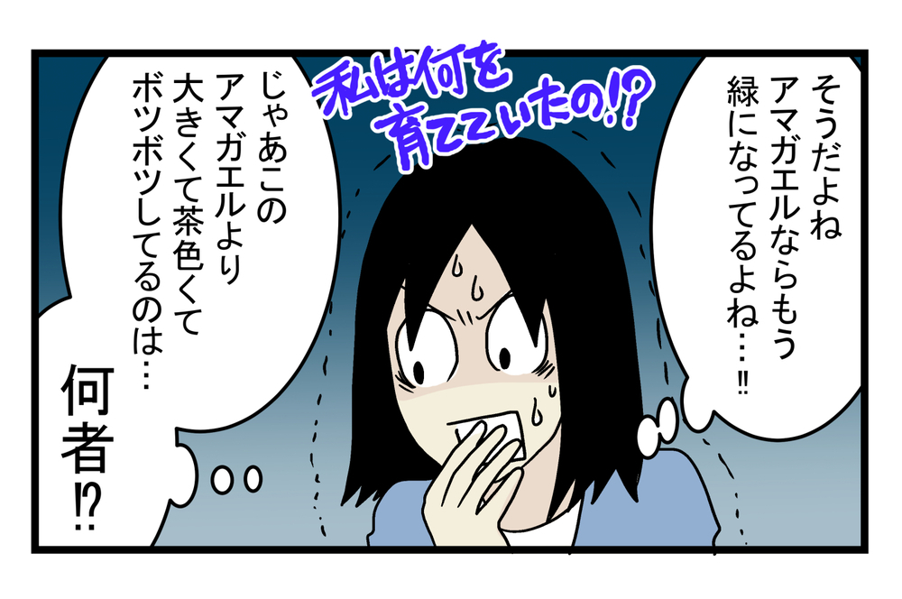アマガエルじゃなかった！ なかなか成長しない「謎のおたまじゃくし」の正体が発覚【こどもと見つけた小さな発見日誌 Vol.14】
