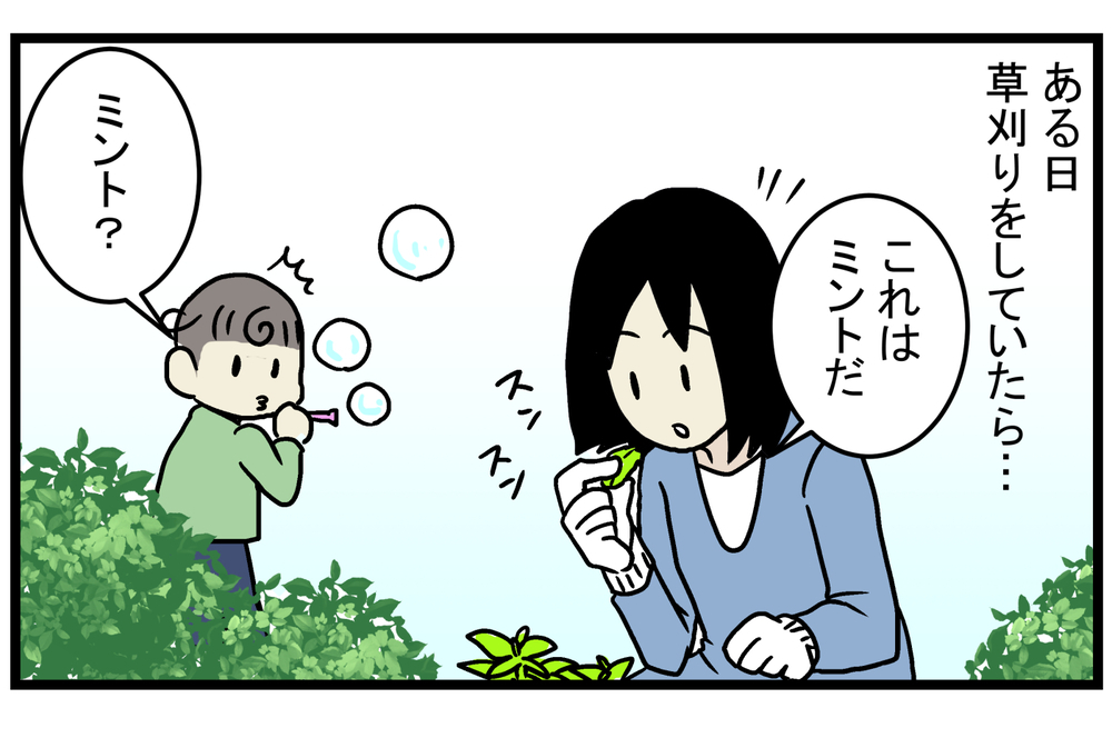 育て方次第では、厄介な雑草になることも!? 庭に生えてきた「ミント」の話【こどもと見つけた小さな発見日誌 Vol.15】