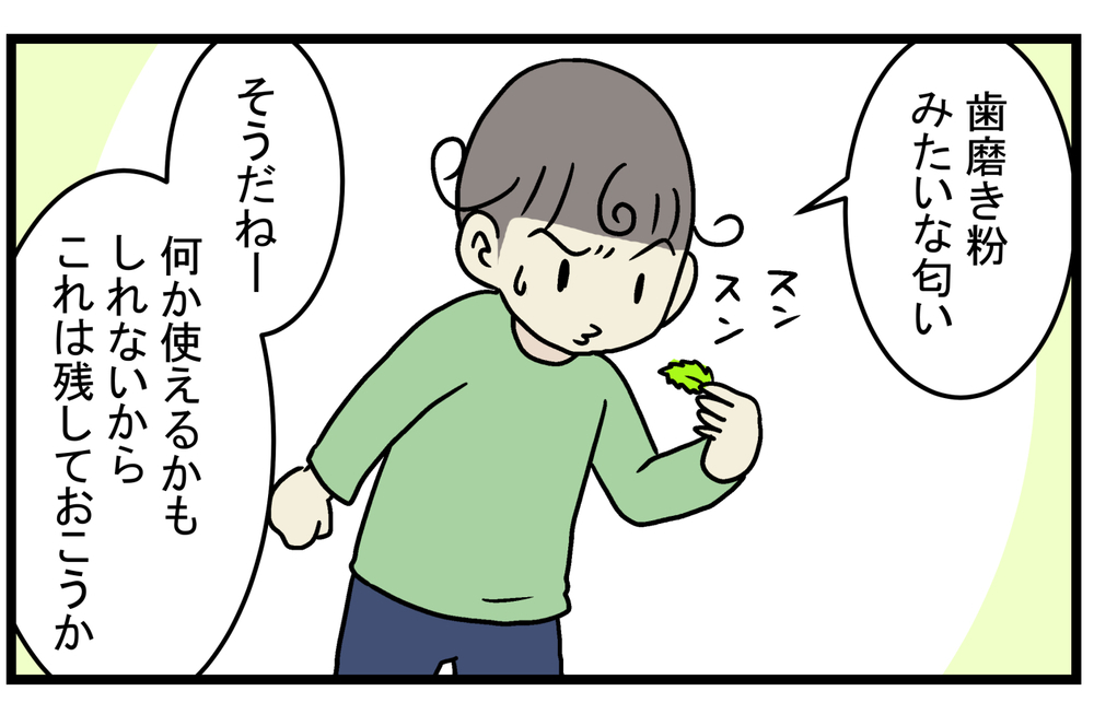 育て方次第では、厄介な雑草になることも!? 庭に生えてきた「ミント」の話【こどもと見つけた小さな発見日誌 Vol.15】