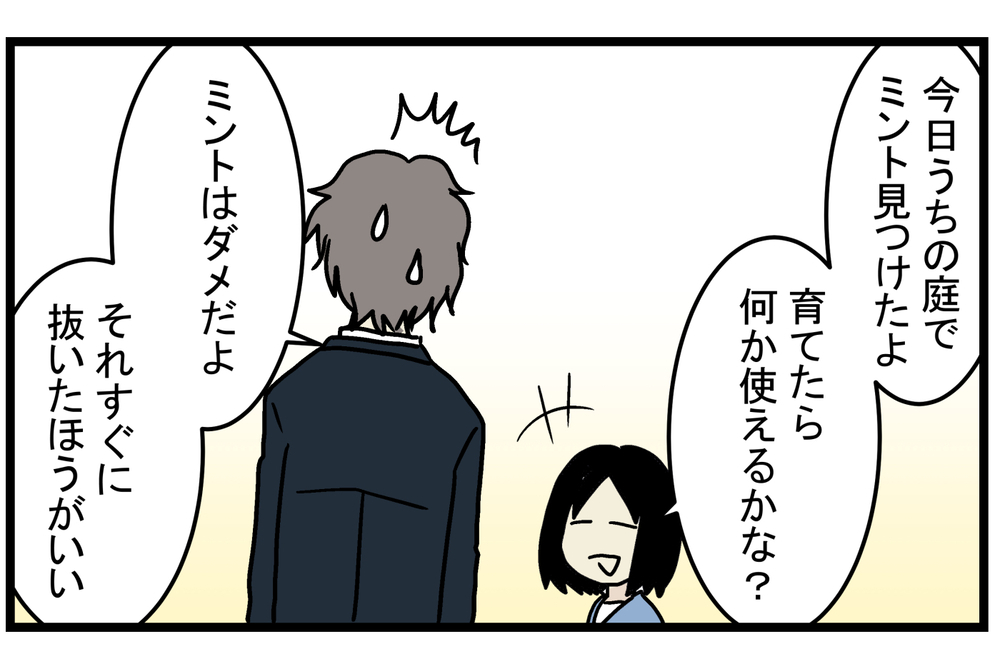 育て方次第では、厄介な雑草になることも!? 庭に生えてきた「ミント」の話【こどもと見つけた小さな発見日誌 Vol.15】