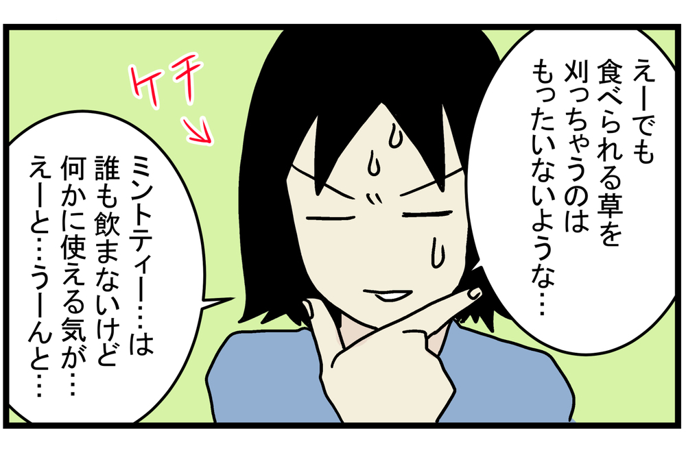 育て方次第では、厄介な雑草になることも!? 庭に生えてきた「ミント」の話【こどもと見つけた小さな発見日誌 Vol.15】