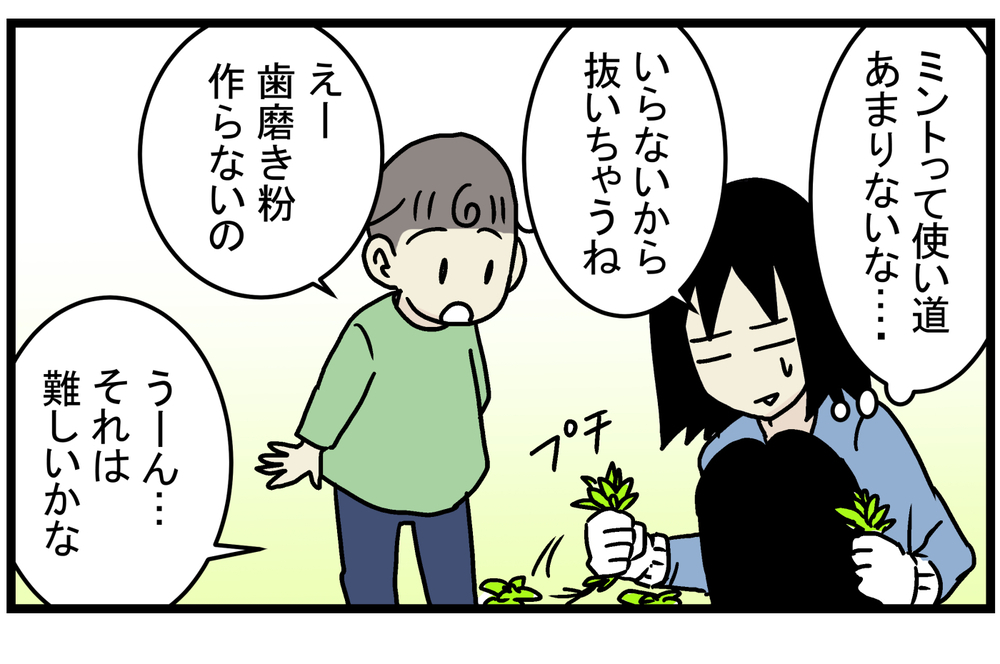 育て方次第では、厄介な雑草になることも!? 庭に生えてきた「ミント」の話【こどもと見つけた小さな発見日誌 Vol.15】