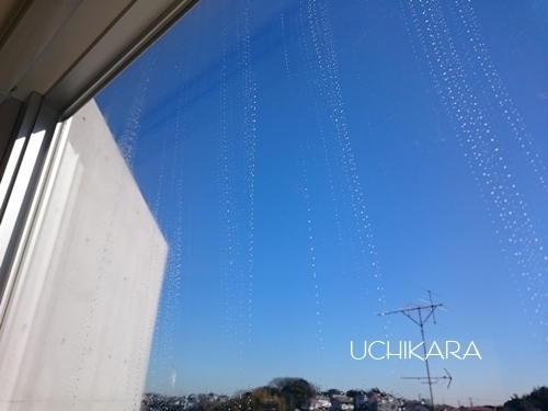 みんなの「結露」対策！ 目からウロコの裏ワザとお役立ちアイテムに注目