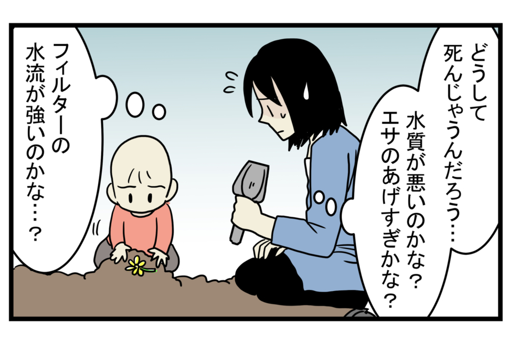 少し悲しい思い出…メダカが減っていく原因は「アノ生き物」にあった！【こどもと見つけた小さな発見日誌 Vol.16】