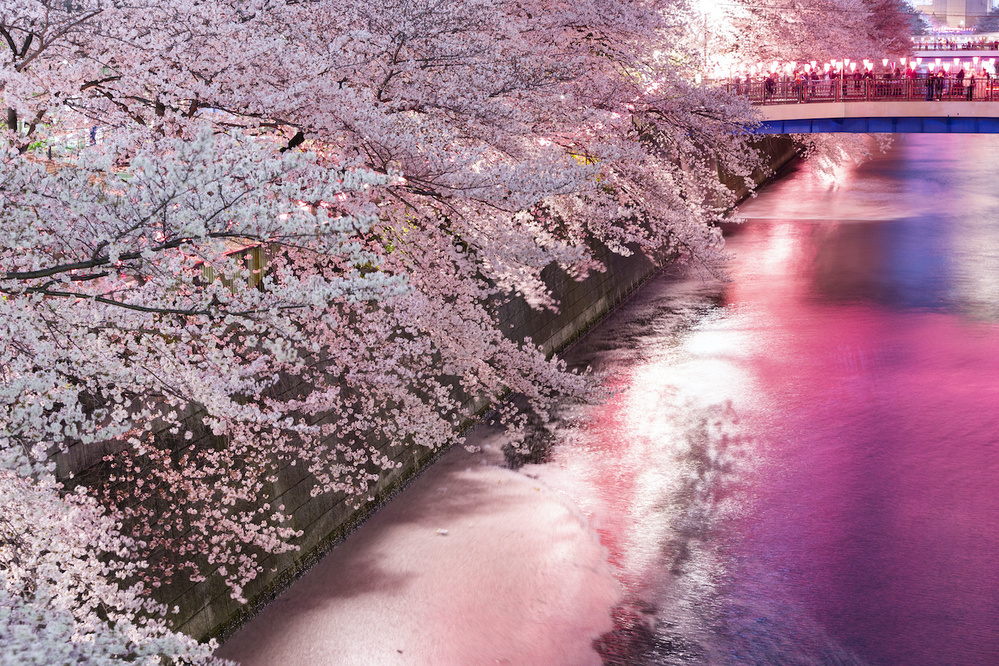 3月23日～3月29日の週間運勢占いランキング！　1位の星座は…？