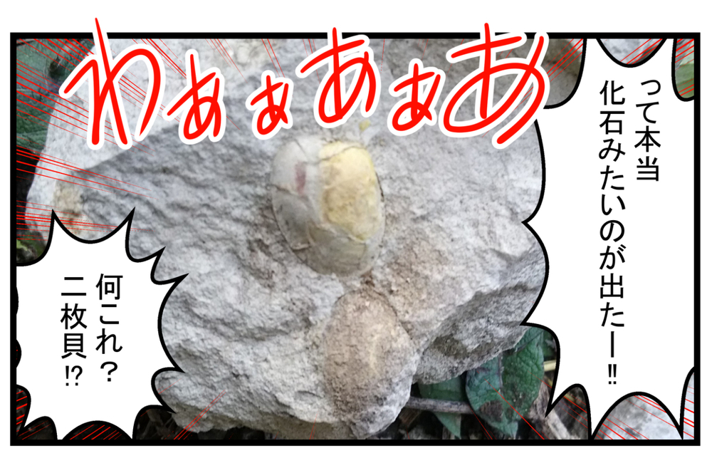 子どもたちが突然始めた「発掘ごっこ」でホンモノの化石を発見…!?【こどもと見つけた小さな発見日誌 Vol.17】