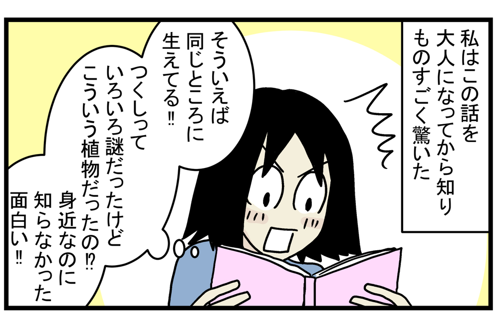 【休校中の過ごし方】退屈そうにしていた子どもたちと「春の植物観察」をしてみた【こどもと見つけた小さな発見日誌 Vol.18】
