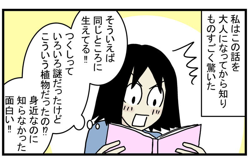 【休校中の過ごし方】退屈そうにしていた子どもたちと「春の植物観察」をしてみた【こどもと見つけた小さな発見日誌 Vol.18】