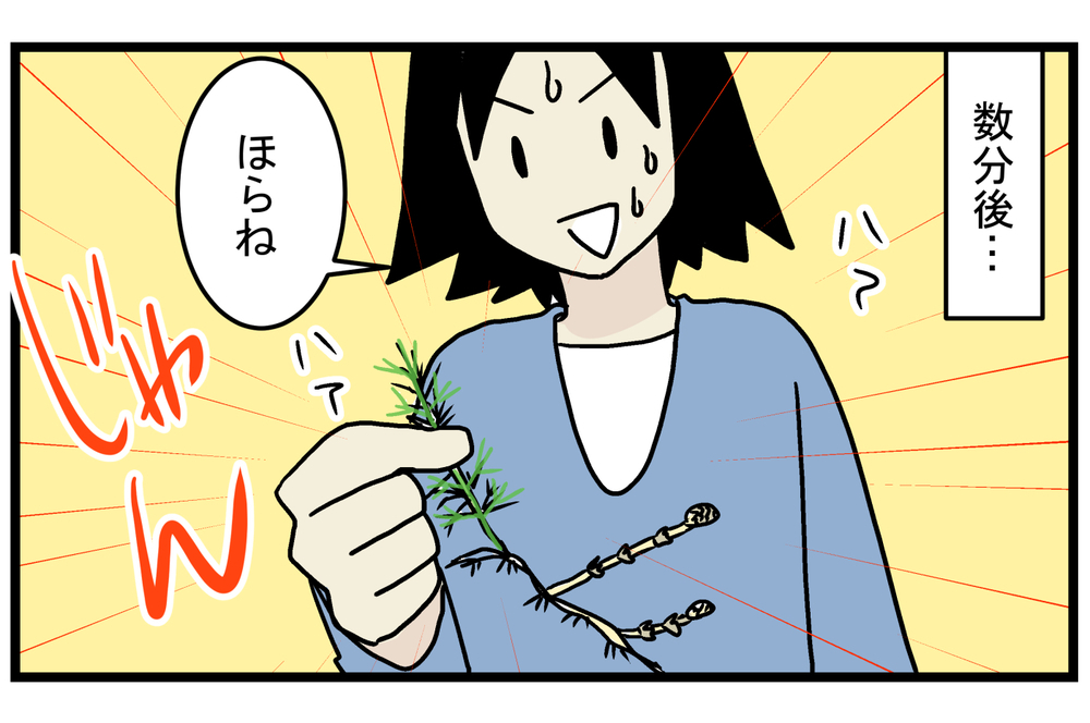 【休校中の過ごし方】退屈そうにしていた子どもたちと「春の植物観察」をしてみた【こどもと見つけた小さな発見日誌 Vol.18】