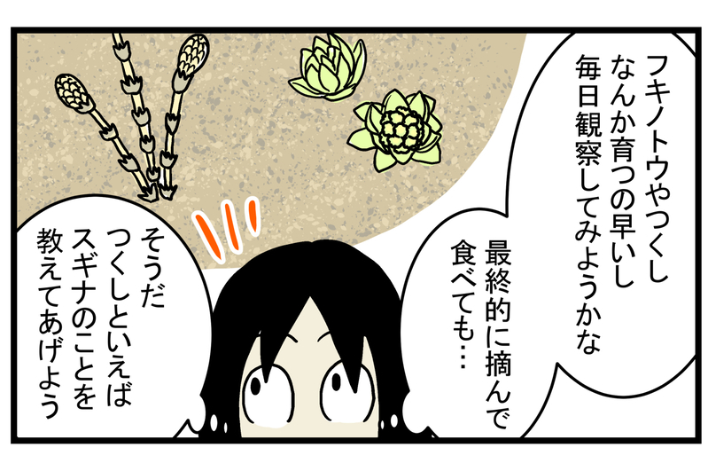 【休校中の過ごし方】退屈そうにしていた子どもたちと「春の植物観察」をしてみた【こどもと見つけた小さな発見日誌 Vol.18】