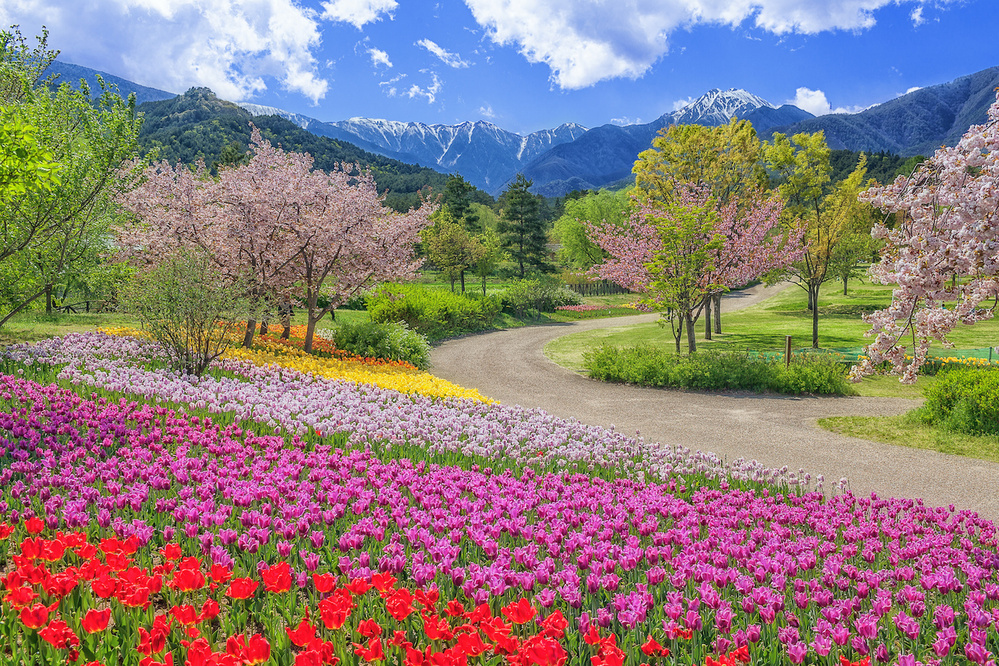 4月6日～4月12日の週間運勢占いランキング！　1位の星座は…？