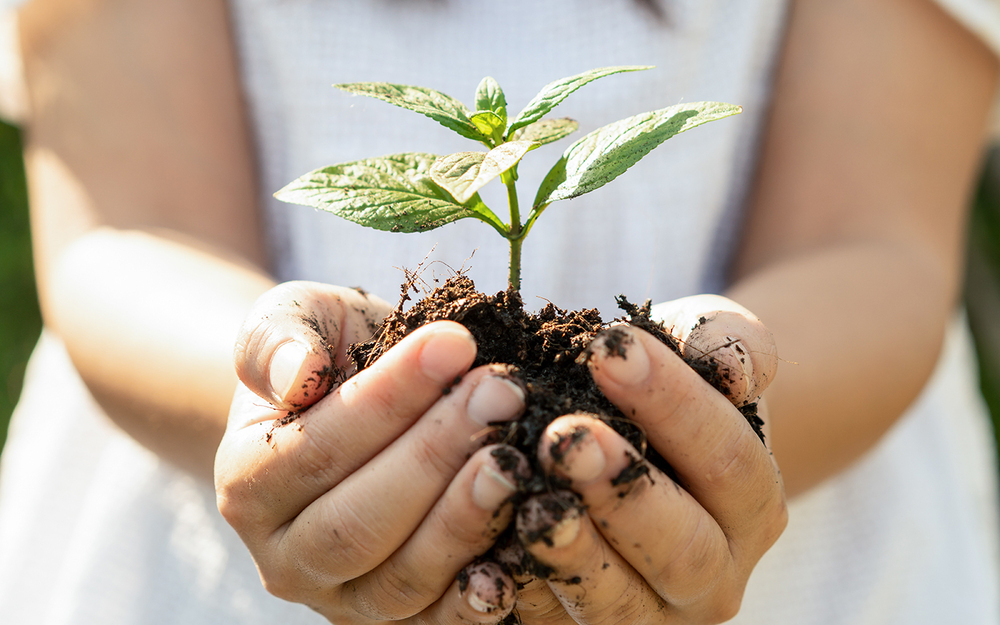 【子どもの成長が寂しい瞬間】親の葛藤と“今”だからこそできること【パパママの本音調査】  Vol.359