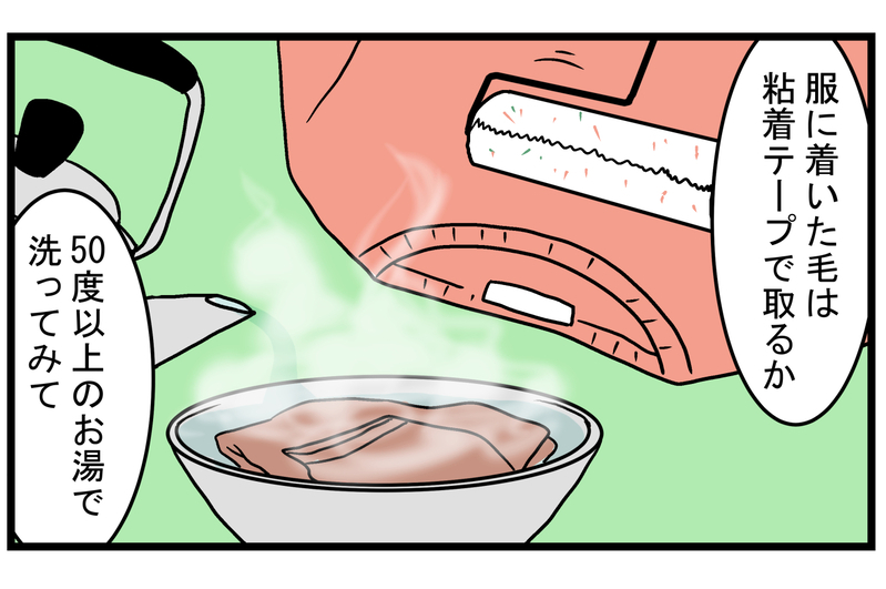 外遊びの際に十分気をつけたい！ 「毛虫」に触っていないのに刺された話【こどもと見つけた小さな発見日誌 Vol.20】