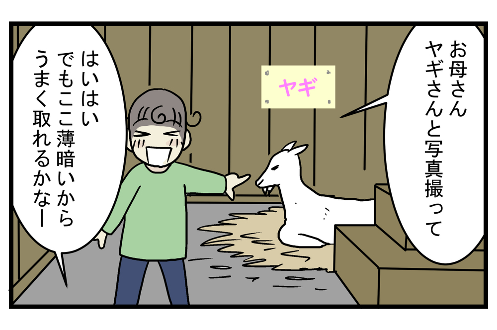 四角い瞳孔が怖いと思っていたが…!? 雨の日に知った「ヤギの目」の秘密【こどもと見つけた小さな発見日誌 Vol.21】
