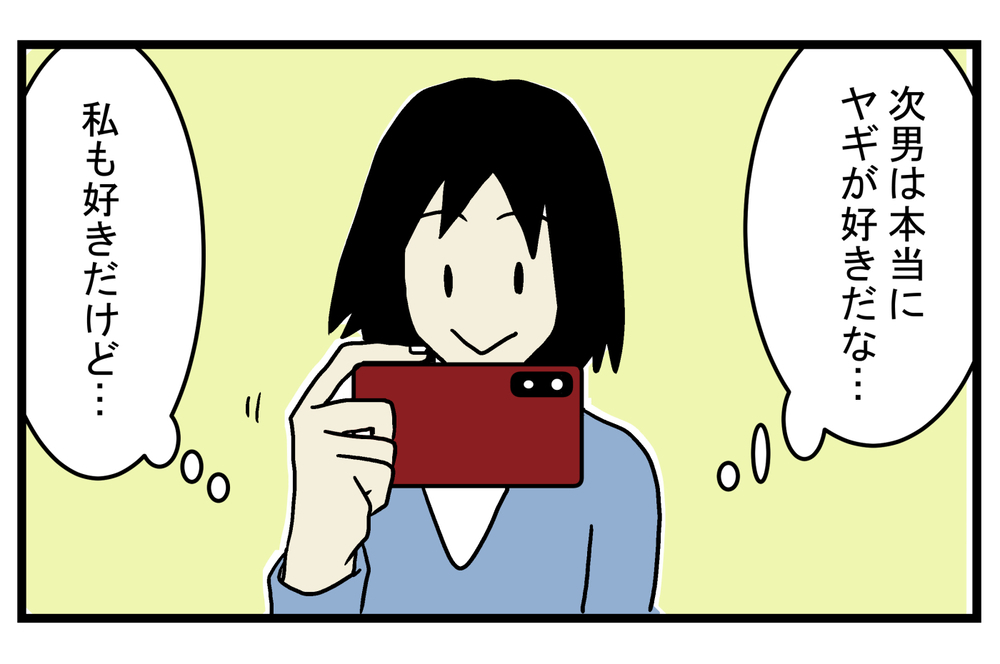 四角い瞳孔が怖いと思っていたが…!? 雨の日に知った「ヤギの目」の秘密【こどもと見つけた小さな発見日誌 Vol.21】