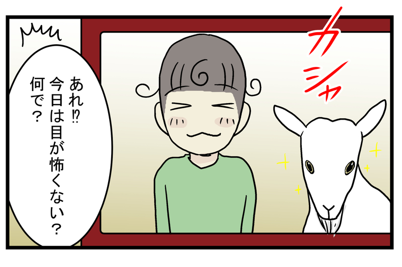 四角い瞳孔が怖いと思っていたが…!? 雨の日に知った「ヤギの目」の秘密【こどもと見つけた小さな発見日誌 Vol.21】