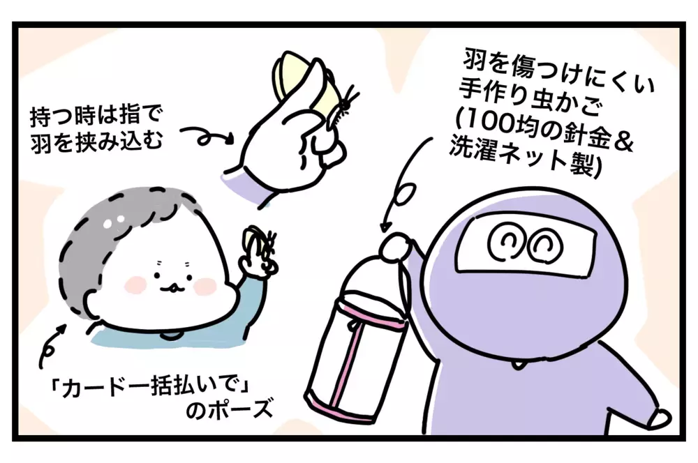 虫の扱い方を知らない甥っ子、虫が苦手な私が「触れ合い方」について真剣に考えてみた【おばバカ一代 第29話】