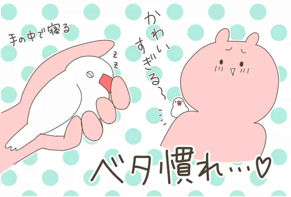 新しく迎えた文鳥が癒しの存在に…！　家族全員がメロメロになるもベタ慣れしているのは…【産後太りこじらせ母日記 第88話】