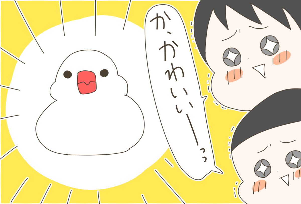 新しく迎えた文鳥が癒しの存在に 家族全員がメロメロになるもベタ慣れしているのは 産後太りこじらせ母日記 第話 ウーマンエキサイト 1 2
