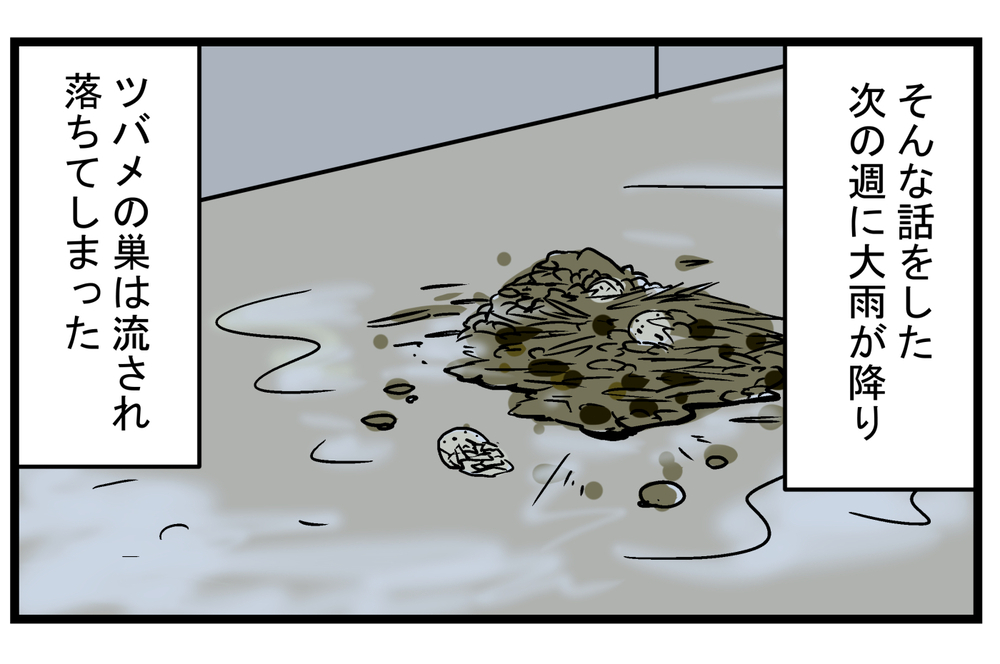 心待ちにしていたヒナの誕生…！ 毎年、この時期になると思い出す「ツバメの巣」の話【こどもと見つけた小さな発見日誌 Vol.22】