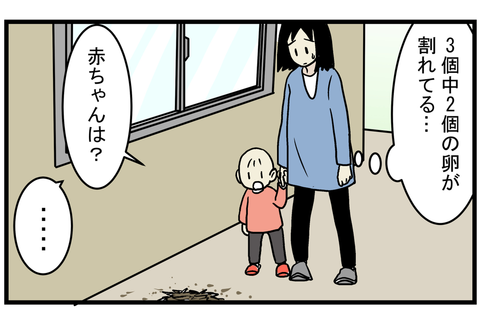 心待ちにしていたヒナの誕生…！ 毎年、この時期になると思い出す「ツバメの巣」の話【こどもと見つけた小さな発見日誌 Vol.22】