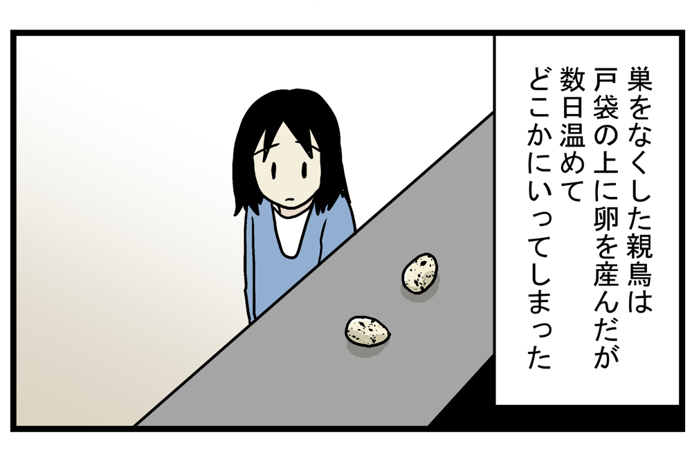 心待ちにしていたヒナの誕生…！ 毎年、この時期になると思い出す「ツバメの巣」の話【こどもと見つけた小さな発見日誌 Vol.22】