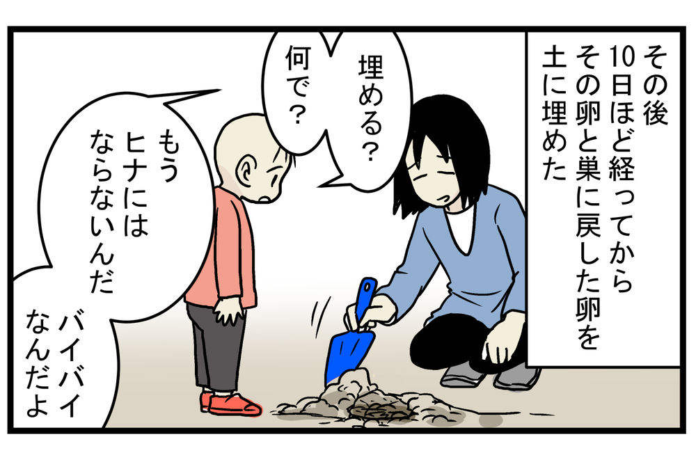 心待ちにしていたヒナの誕生…！ 毎年、この時期になると思い出す「ツバメの巣」の話【こどもと見つけた小さな発見日誌 Vol.22】