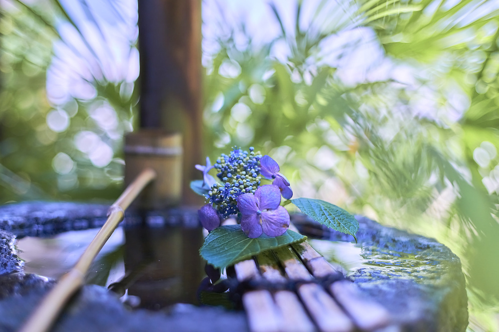 6月8日～6月14日の週間運勢占いランキング！　1位の星座は…？