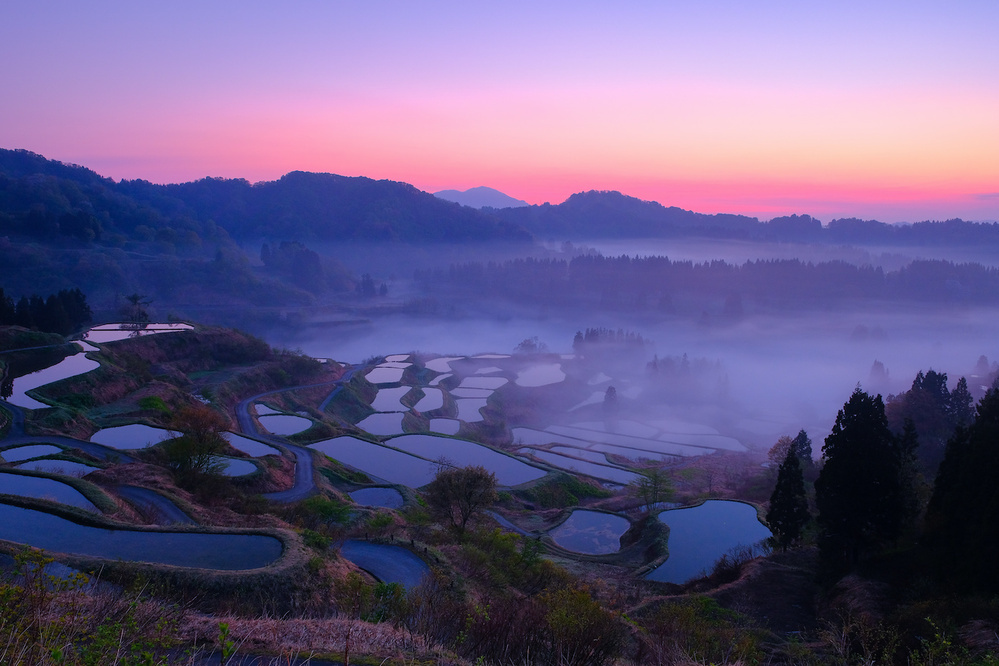 6月15日～6月21日の週間運勢占いランキング！　1位の星座は…？