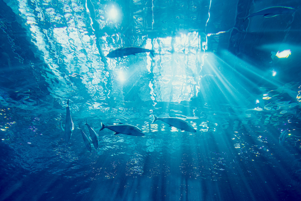 6月29日～7月5日の週間運勢占いランキング！　1位の星座は…？