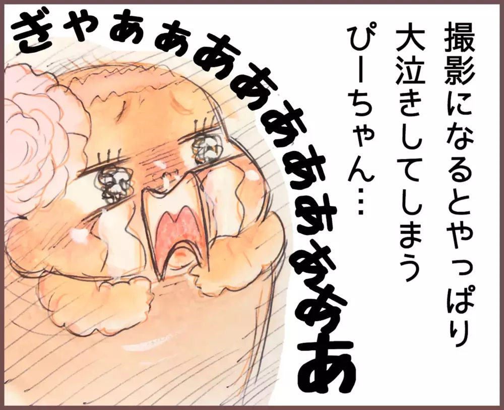 大号泣でハーフバースディの撮影を中断、娘の人見知り対策の結果はいかに!?【中編】【メルヘン男子とPOWER PUFF BOY  第42話】