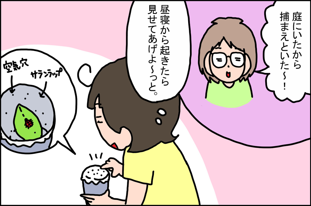 3歳の息子が「てんとう虫」で経験した、かなりショックな出来事【うちの家族、個性の塊です Vol.45】
