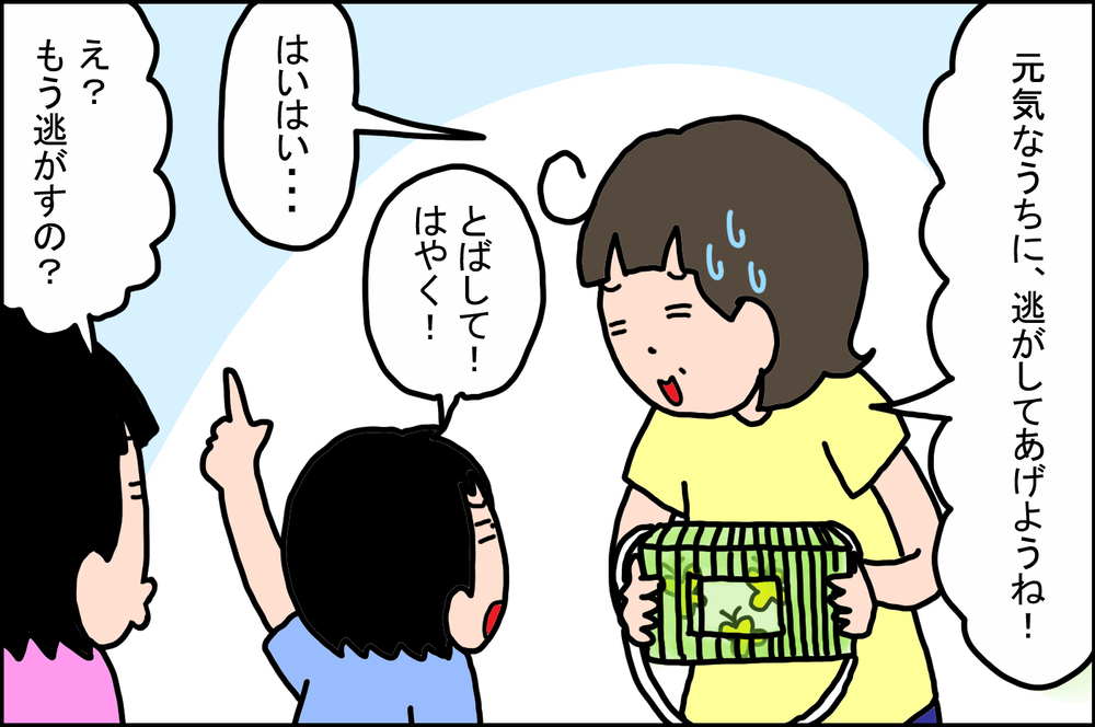 3歳の息子が「てんとう虫」で経験した、かなりショックな出来事【うちの家族、個性の塊です Vol.45】