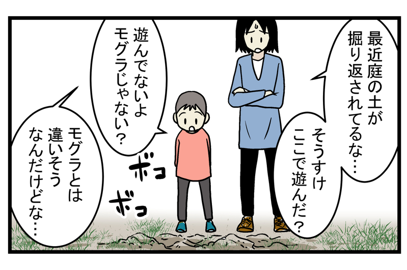 長男にとってはファンタジーの世界！ 庭の土が掘り返された原因と最強のお隣さんとは？【こどもと見つけた小さな発見日誌 Vol.24】
