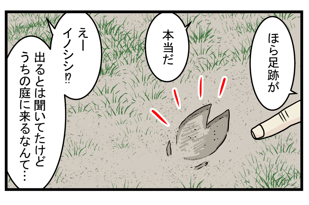 長男にとってはファンタジーの世界！ 庭の土が掘り返された原因と最強のお隣さんとは？【こどもと見つけた小さな発見日誌 Vol.24】