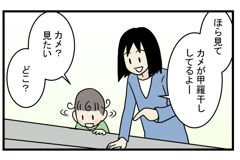 図鑑にも書いていなかった… 動きが遅いイメージのある「カメ」の実態に親子でびっくり！【こどもと見つけた小さな発見日誌 Vol.25】