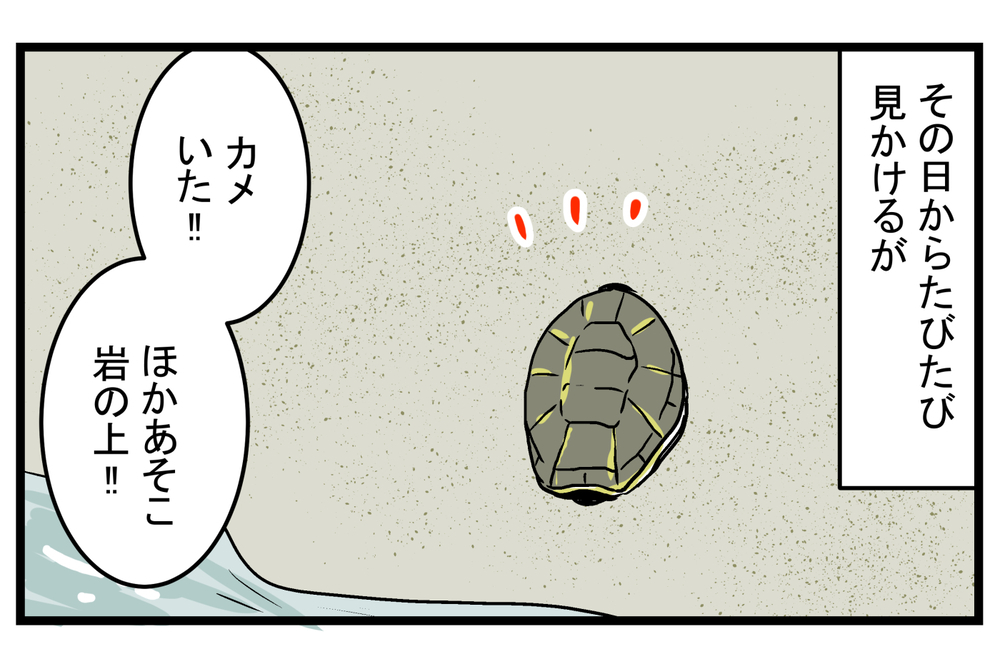 図鑑にも書いていなかった… 動きが遅いイメージのある「カメ」の実態に親子でびっくり！【こどもと見つけた小さな発見日誌 Vol.25】