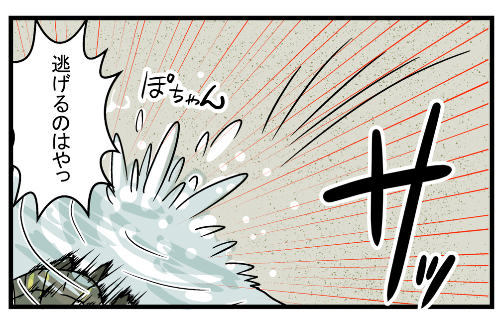 図鑑にも書いていなかった… 動きが遅いイメージのある「カメ」の実態に親子でびっくり！【こどもと見つけた小さな発見日誌 Vol.25】