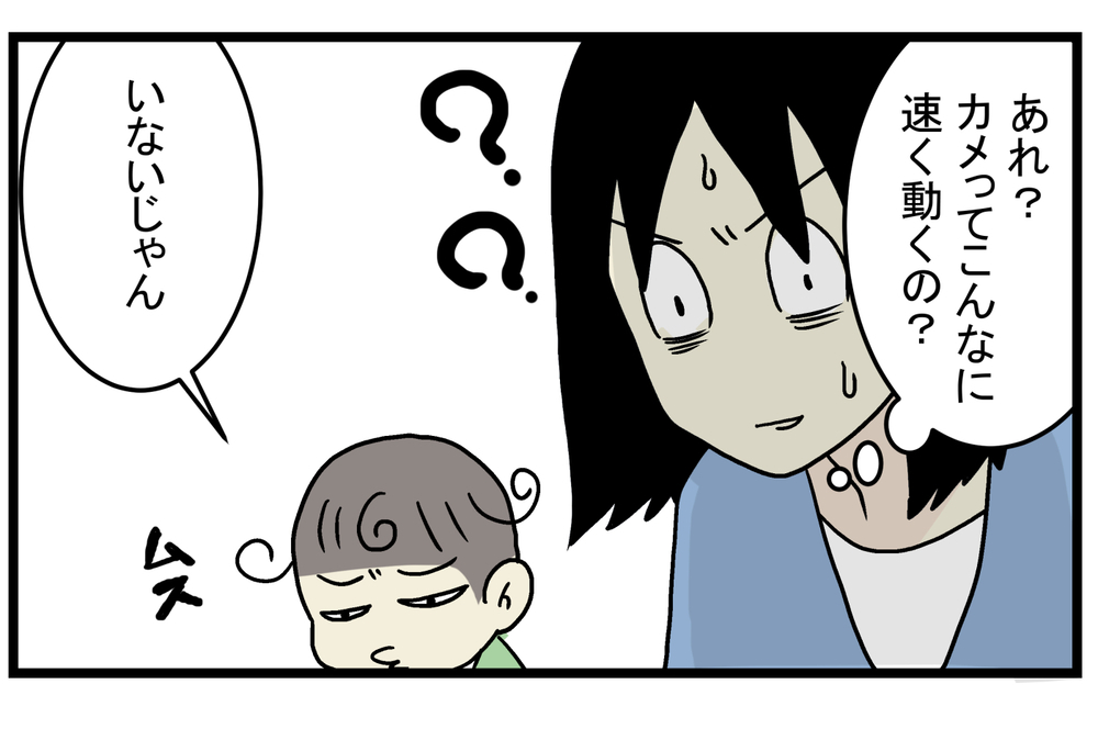 図鑑にも書いていなかった… 動きが遅いイメージのある「カメ」の実態に親子でびっくり！【こどもと見つけた小さな発見日誌 Vol.25】