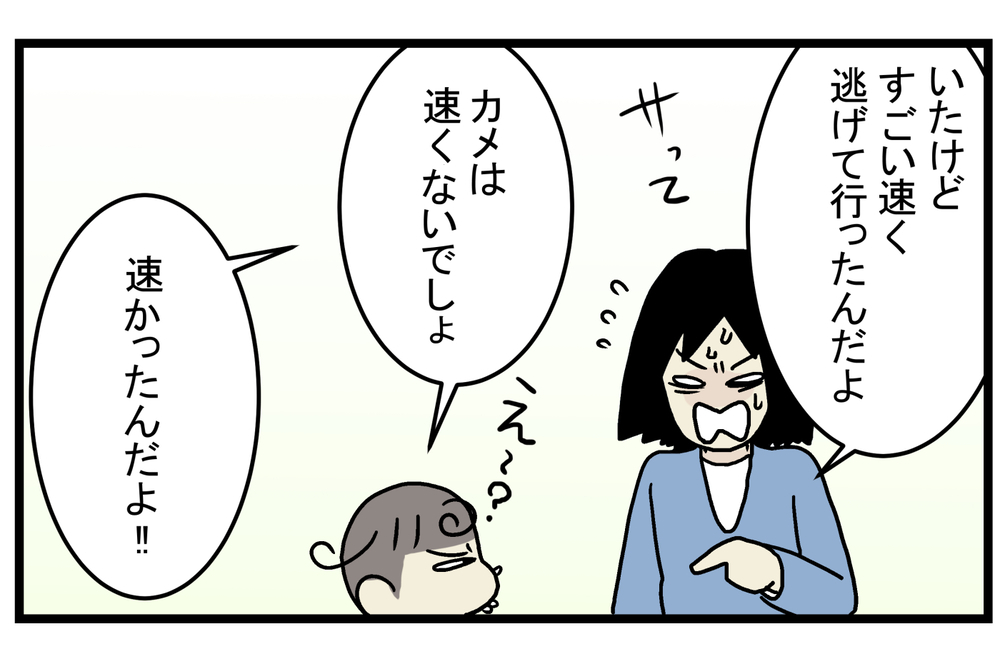 図鑑にも書いていなかった… 動きが遅いイメージのある「カメ」の実態に親子でびっくり！【こどもと見つけた小さな発見日誌 Vol.25】