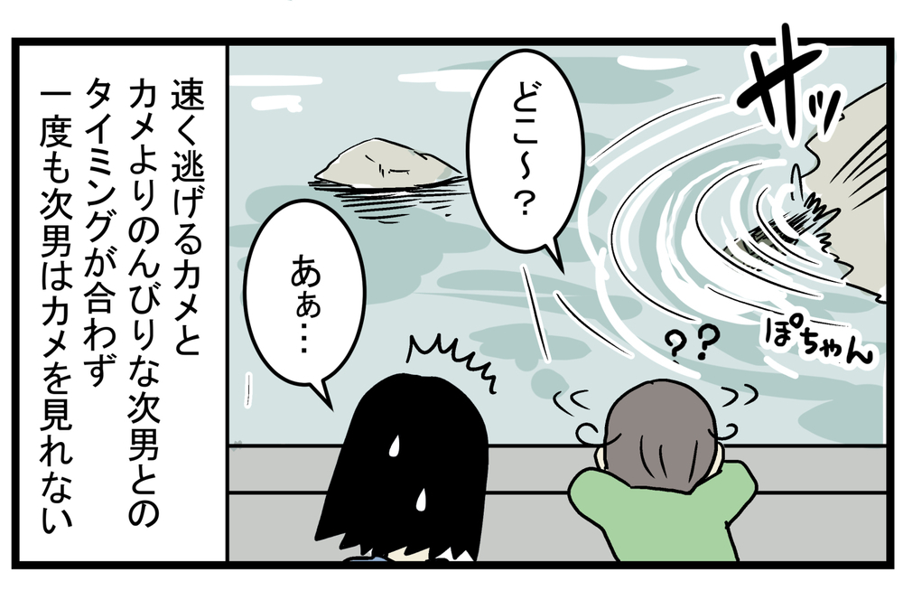 図鑑にも書いていなかった… 動きが遅いイメージのある「カメ」の実態に親子でびっくり！【こどもと見つけた小さな発見日誌 Vol.25】