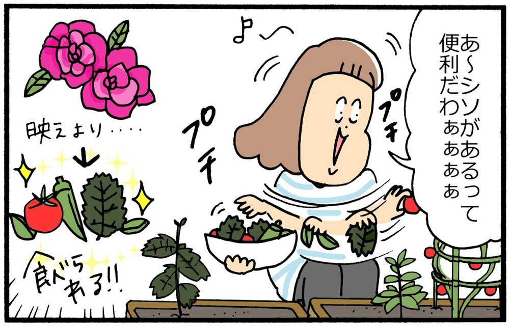 息子も夫も家庭菜園に夢中！ ステイホームがきっかけの母の野望とは…？【育児に遅れと混乱が生じてる !! Vol.28】