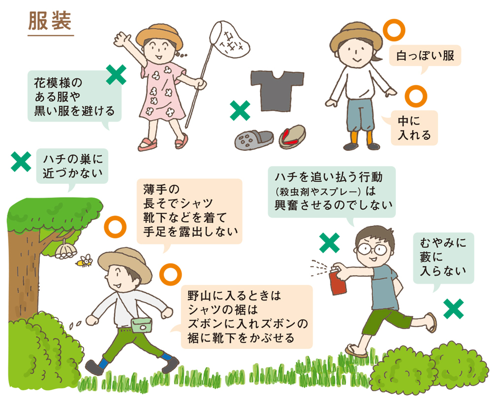 【医師監修】虫刺されは小さい子ほど要注意！ 虫よけ剤、かゆみ止めの正しい対処法【子どもの「病気・けが」教えて！ドクター 第4回】