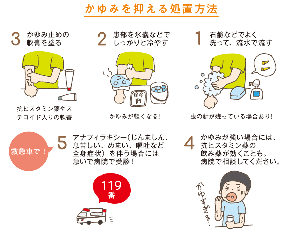 【医師監修】虫刺されは小さい子ほど要注意！ 虫よけ剤、かゆみ止めの正しい対処法【子どもの「病気・けが」教えて！ドクター 第4回】