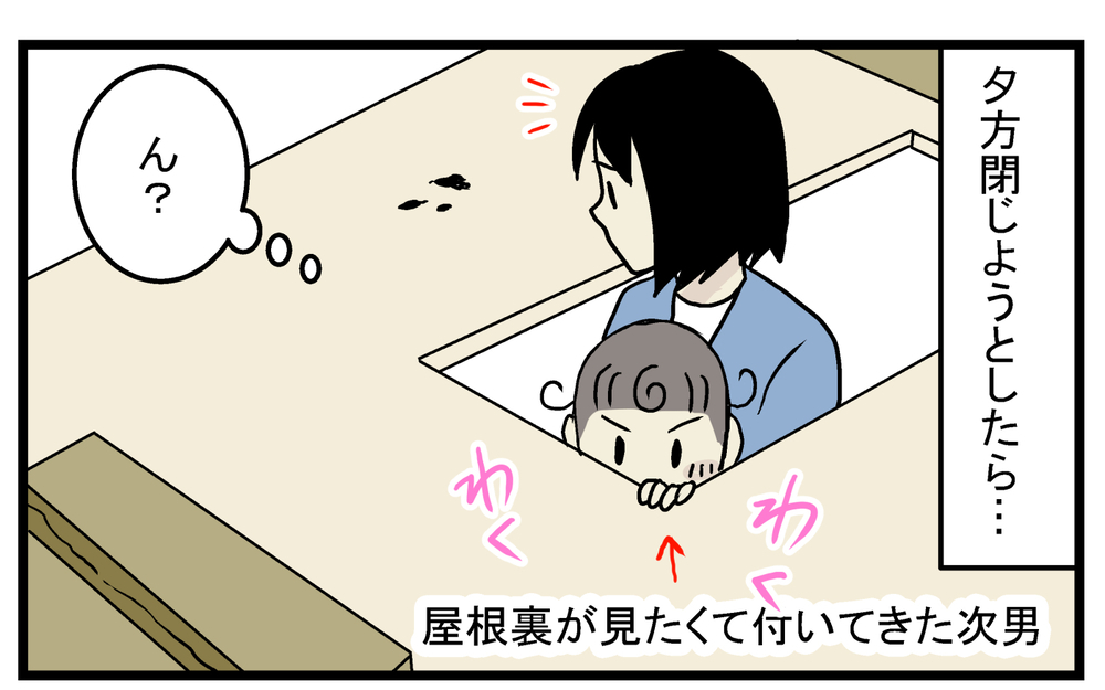 もしやネズミが住み着いている!? 屋根裏で発見した物体に戦々恐々した話【こどもと見つけた小さな発見日誌 Vol.26】