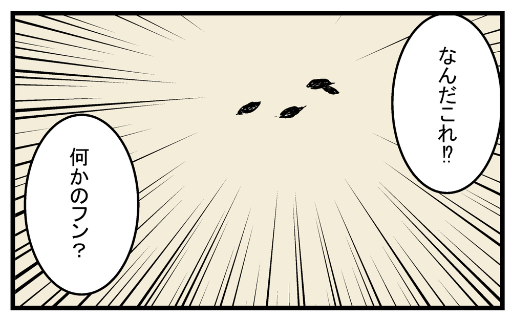 もしやネズミが住み着いている!? 屋根裏で発見した物体に戦々恐々した話【こどもと見つけた小さな発見日誌 Vol.26】