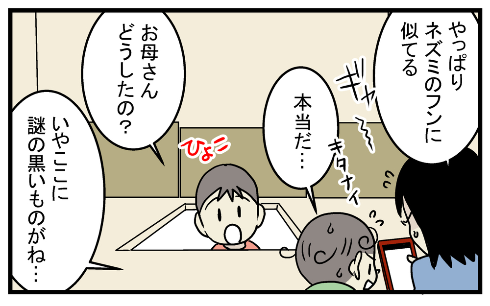 もしやネズミが住み着いている!? 屋根裏で発見した物体に戦々恐々した話【こどもと見つけた小さな発見日誌 Vol.26】