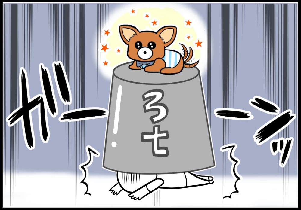 ペット溺愛の義母と動物アレルギーの息子…義母が隠し続けた真実とは【中編】【義父母がシンドイんです！ まんが】