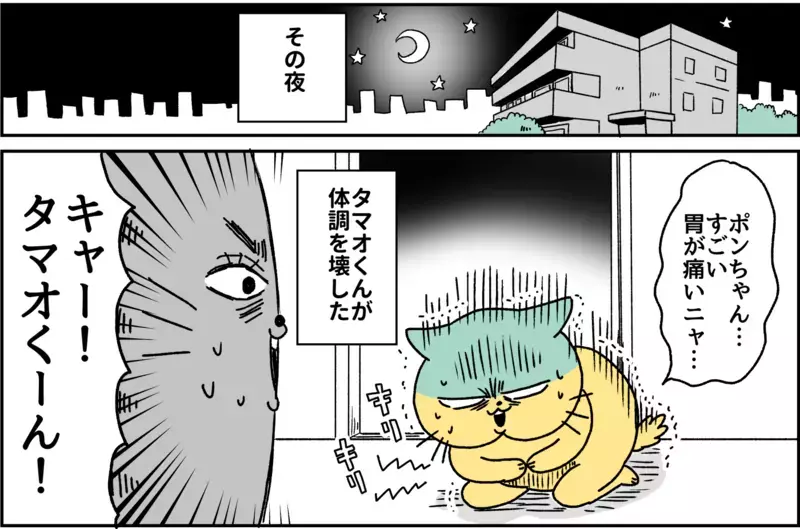 激しい便意で歩けない…駆け込んだ病院での診断は？  パニック障害がわかるまで【パニックにゃんこ Vol.4】