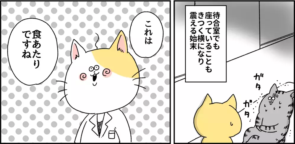 激しい便意で歩けない…駆け込んだ病院での診断は？  パニック障害がわかるまで【パニックにゃんこ Vol.4】